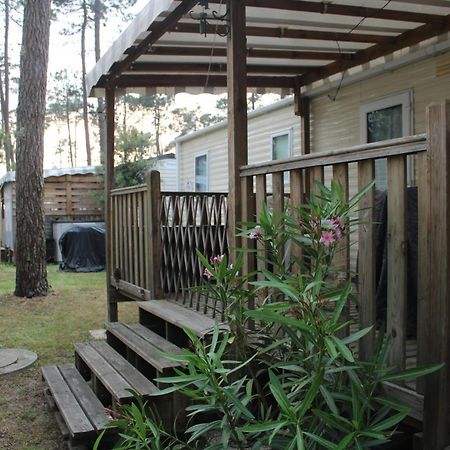 Mobil-Home Spatieux 8Pers - Brume Saint-Julien-en-Born Dış mekan fotoğraf